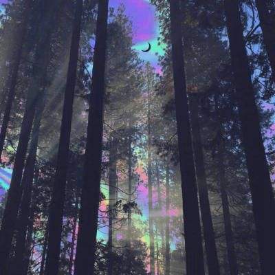 体育竞彩推荐平台app